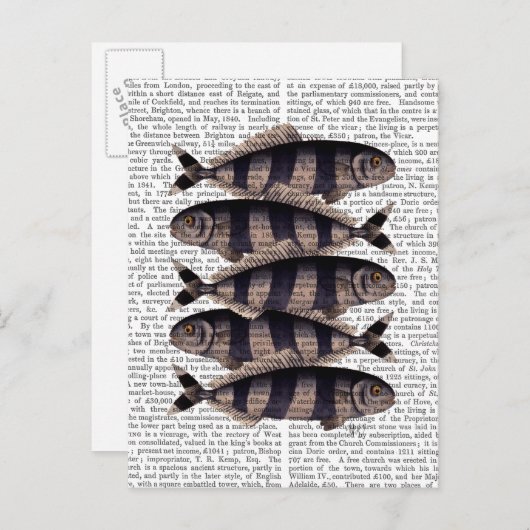 Vijf strips briefkaart (Voorkant / Achterkant)