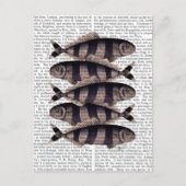 Vijf strips briefkaart (Voorkant)