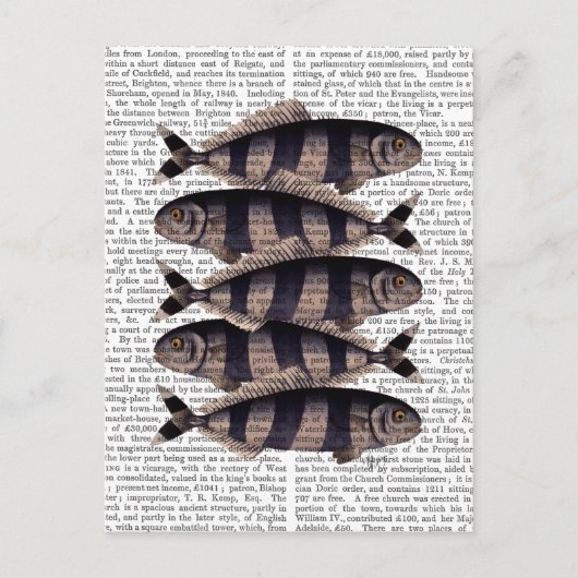 Vijf strips briefkaart (Voorkant)