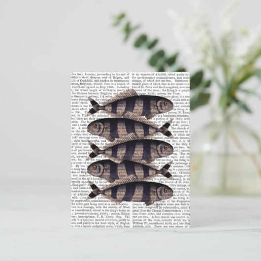 Vijf strips briefkaart (Staand voorkant)