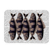 Vijf strips magneet (Horizontaal)