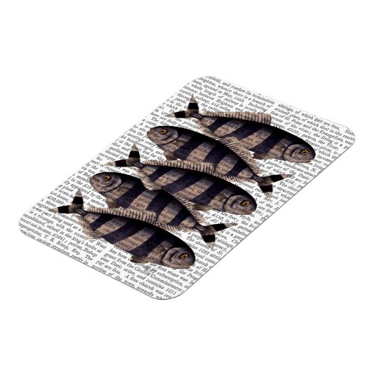 Vijf strips magneet (Linkerzijde)