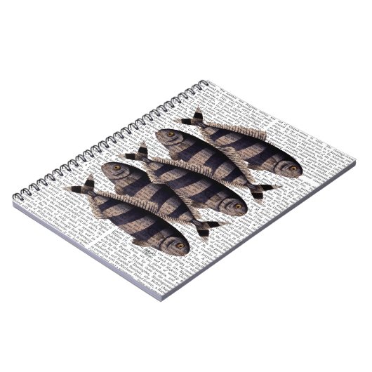 Vijf strips notitieboek (Linkerzijde)