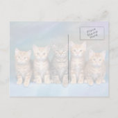 Vijf Tabby Kittens, rood op een rij Briefkaart (Achterkant)