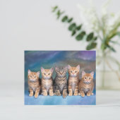 Vijf Tabby Kittens, rood op een rij Briefkaart (Staand voorkant)