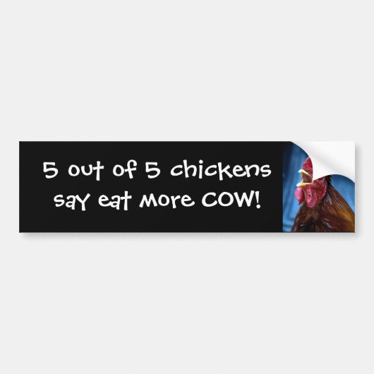 Vijf van de vijf kippen zeggen.... bumpersticker (Voorkant)