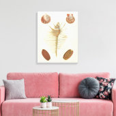 Vijf van een soort Seashells Canvas Afdruk (Insitu (Woonkamer))
