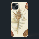 Vijf van een soort Seashells iPhone 13 Hoesje<br><div class="desc">George Wolfgang Knorr staat bekend om de delicate details en precisie van zijn illustraties van seizoenshellen en keien. Zijn tekeningen werden beïnvloed door zijn eigen interesse in wetenschap, een populair onderwerp van zijn tijd. Dit unieke kunstwerk van Knorr doet echt goed werk door de verschillende soorten seizoenshellen en zeefoto's van...</div>
