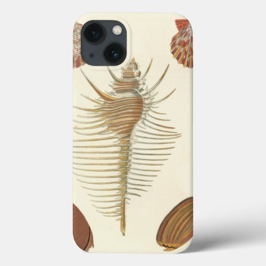 Vijf van een soort Seashells Case-Mate iPhone Case (Achterkant)