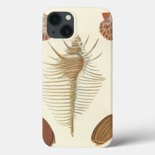 Vijf van een soort Seashells Case-Mate iPhone Case