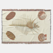 Vijf van een soort Seashells Deken (Voorkant)