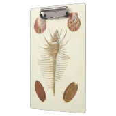 Vijf van een soort Seashells Klembord (Links)