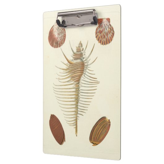 Vijf van een soort Seashells Klembord (Links)