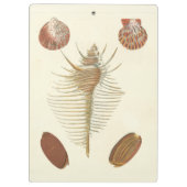 Vijf van een soort Seashells Klembord (Achterkant)