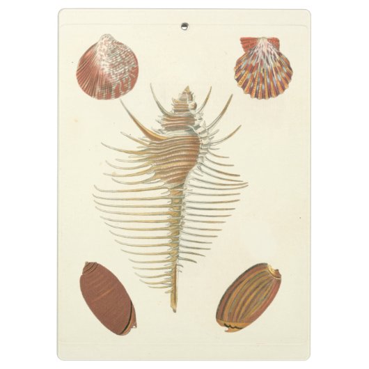 Vijf van een soort Seashells Klembord (Achterkant)