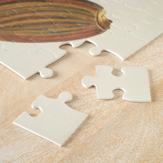 Vijf van een soort Seashells Legpuzzel (Zijkant)