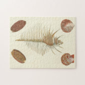 Vijf van een soort Seashells Legpuzzel (Horizontaal)