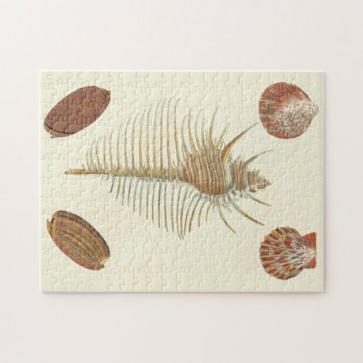 Vijf van een soort Seashells Legpuzzel (Horizontaal)