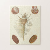 Vijf van een soort Seashells Legpuzzel (Verticaal)