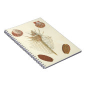 Vijf van een soort Seashells Notitieboek (Rechterzijde)