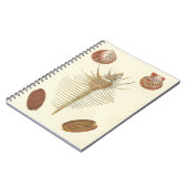 Vijf van een soort Seashells Notitieboek (Linkerzijde)