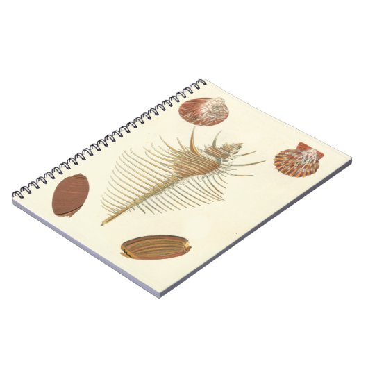 Vijf van een soort Seashells Notitieboek (Linkerzijde)