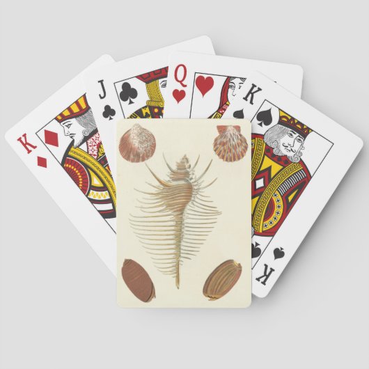 Vijf van een soort Seashells Pokerkaarten (Achterkant)