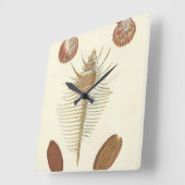 Vijf van een soort Seashells Vierkante Klok (Hoek)