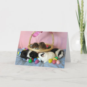 Vijf Varkens & een Mand Feestdagen Kaart