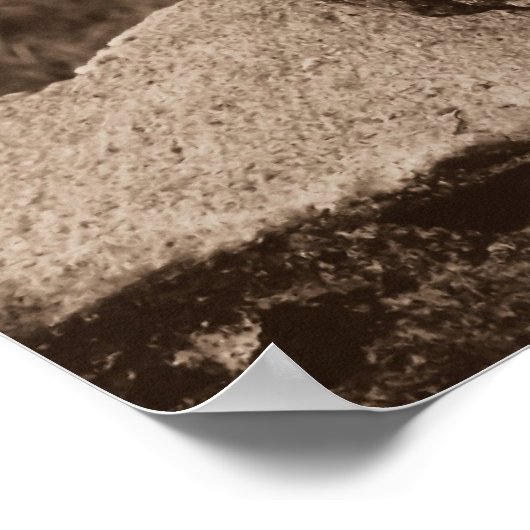 Vijf Virtuies van Zen Poster (Hoek)