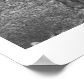 Vijf vrouwen op de ranch poster (Hoek)