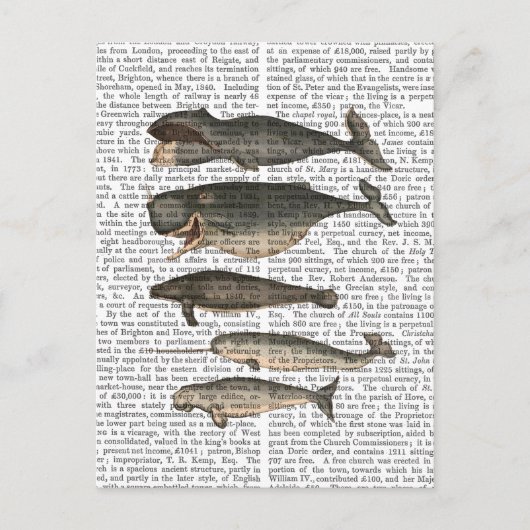 Vijf  walvissen briefkaart (Voorkant)