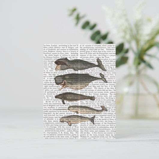 Vijf walvissen briefkaart (Staand voorkant)