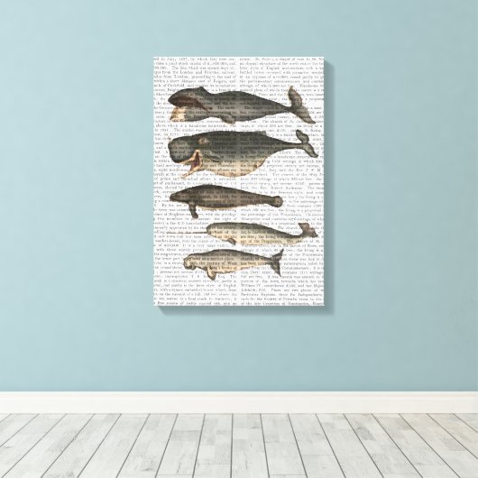 Vijf walvissen canvas afdruk (Insitu (Houten vloer))