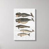 Vijf walvissen canvas afdruk (Voorkant)