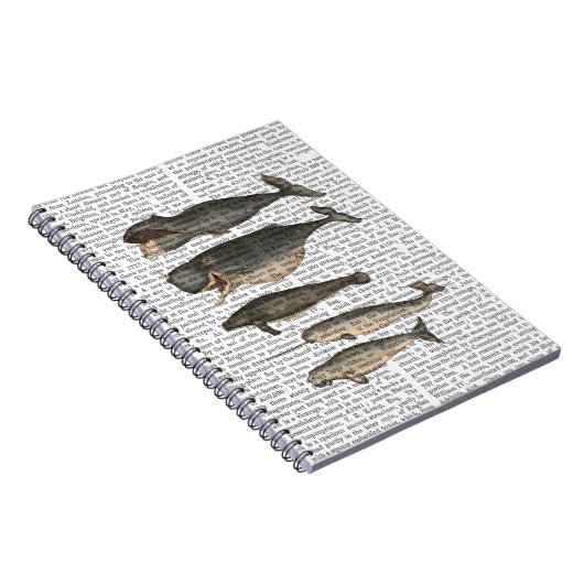 Vijf  walvissen notitieboek (Rechterzijde)