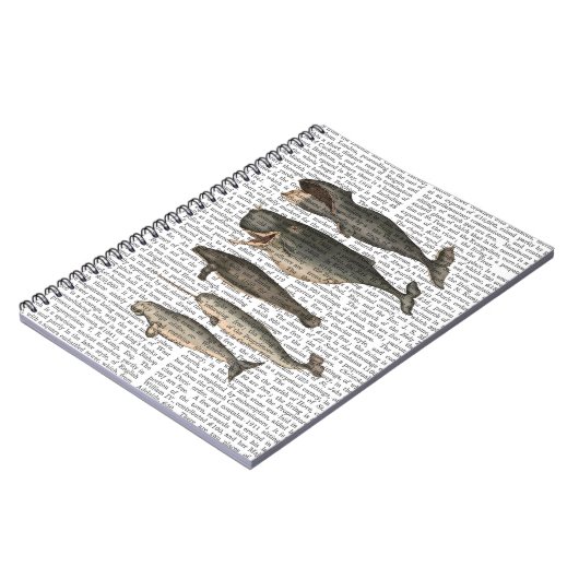 Vijf  walvissen notitieboek (Linkerzijde)