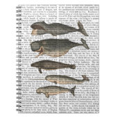 Vijf  walvissen notitieboek (Voorkant)