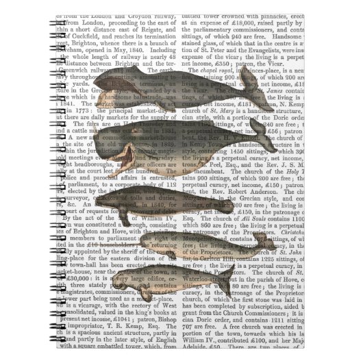 Vijf walvissen notitieboek (Voorkant)