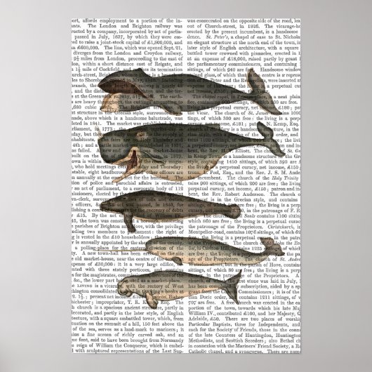 Vijf  walvissen poster (Voorkant)