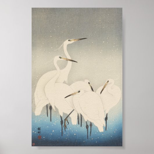 Vijf witte groten poster (Voorkant)