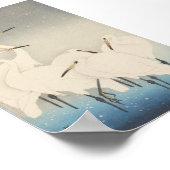 Vijf witte groten poster (Hoek)