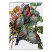  - vijf zangvogels, (Voorkant)