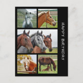 Vijfde briefkaart voor de collage van paardenpenko (Voorkant)