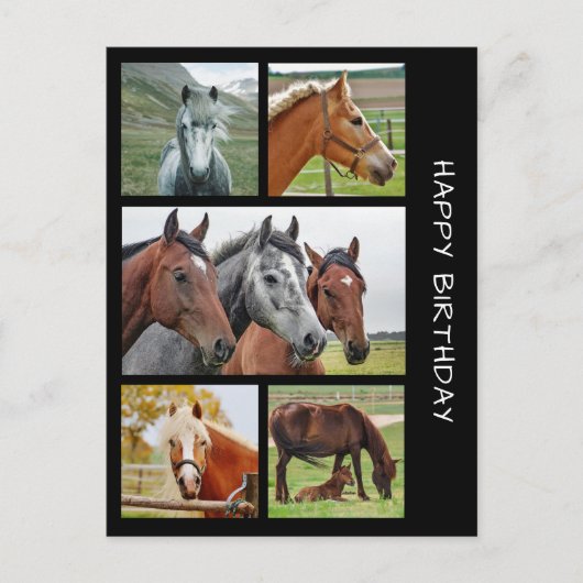 Vijfde briefkaart voor de collage van paardenpenko (Voorkant)