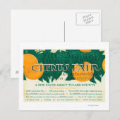 Vijfde jaarbeurs van Tulare County Citrus Briefkaart (Voorkant / Achterkant)