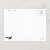 Vijfvingerige venushaar briefkaart (Achterkant)