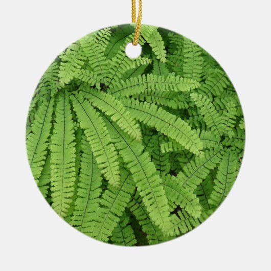 Vijfvingerige venushaar keramisch ornament (Voorkant)