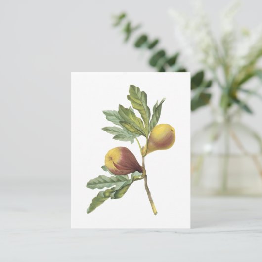 vijg (Ficus violacea) van Redouté Briefkaart (Staand voorkant)