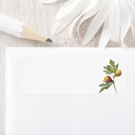 vijg (Ficus violacea) van Redouté Etiket (Insitu)